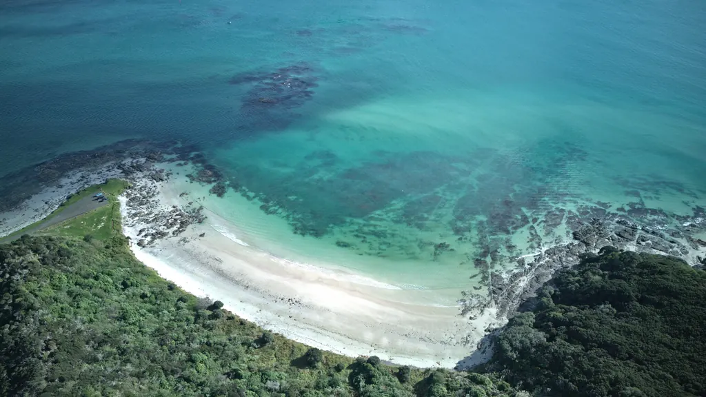 Drone shot of a white-sand cove with clear turquoise water and native bush